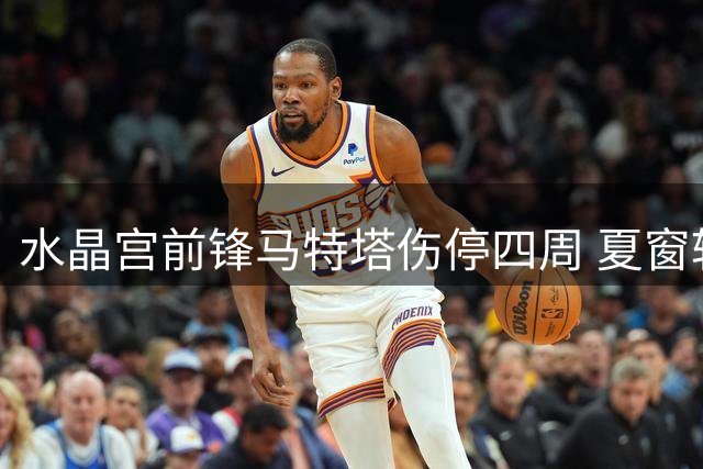 水晶宫前锋马特塔伤停四周 夏窗转会前景暗淡